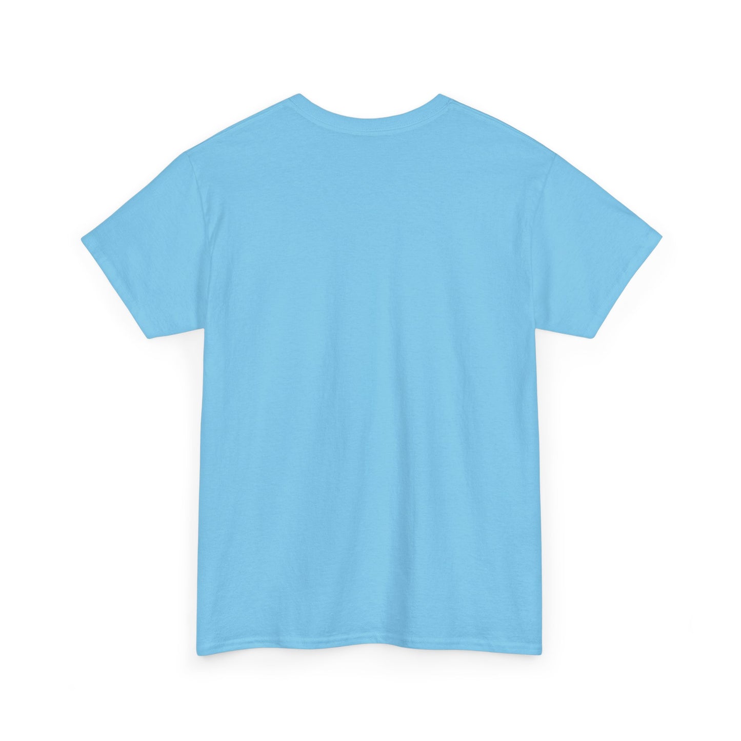 Unisex Heavy Cotton Tee - dream catcher