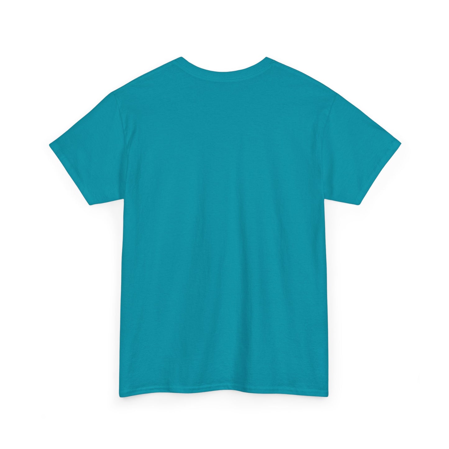 Unisex Heavy Cotton Tee - dream catcher