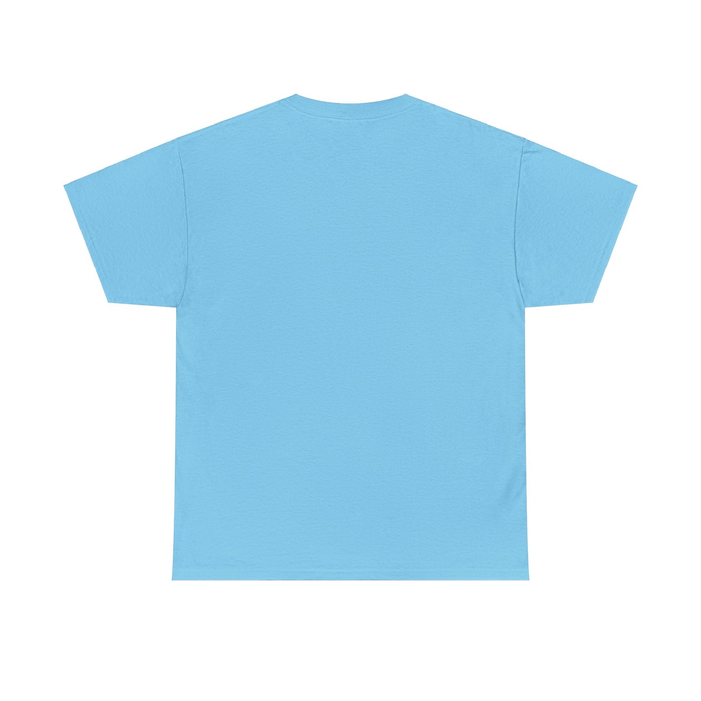 Unisex Heavy Cotton Tee - dream catcher